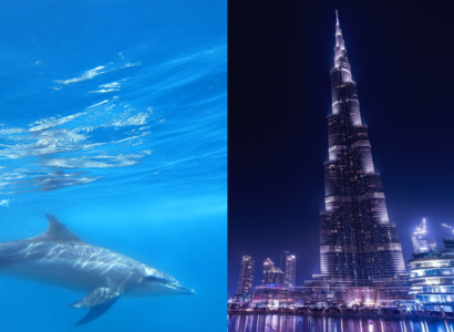 Flight deals from Oslo, Norway to Zanzibar, Tanzania & Dubai, UAE | Secret Flying