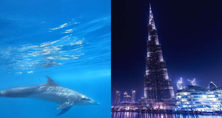 2 IN 1 TRIP: Oslo, Norway to Zanzibar, Tanzania & Dubai, UAE for only €452 roundtrip