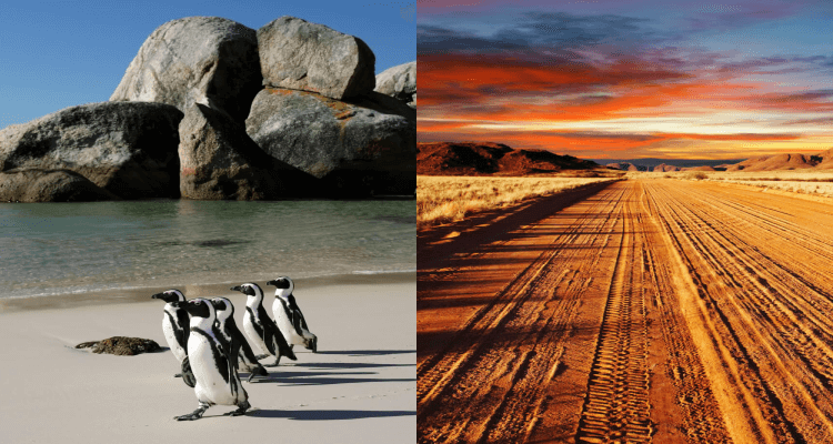 2 IN 1 TRIP: Cologne, Germany to Cape Town, South Africa & Windhoek, Namibia for only €473 roundtrip