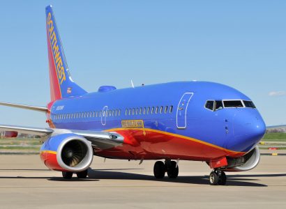Emotional support dog bites child on Southwest flight | Secret Flying