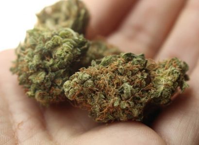 Las Vegas airport offers weed disposal bins for travellers | Secret Flying