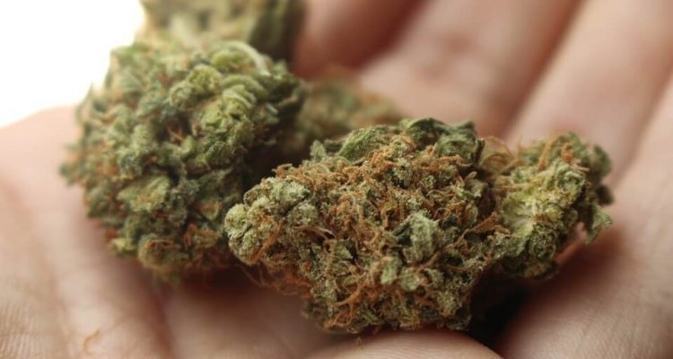 Las Vegas airport offers weed disposal bins for travellers | Secret Flying
