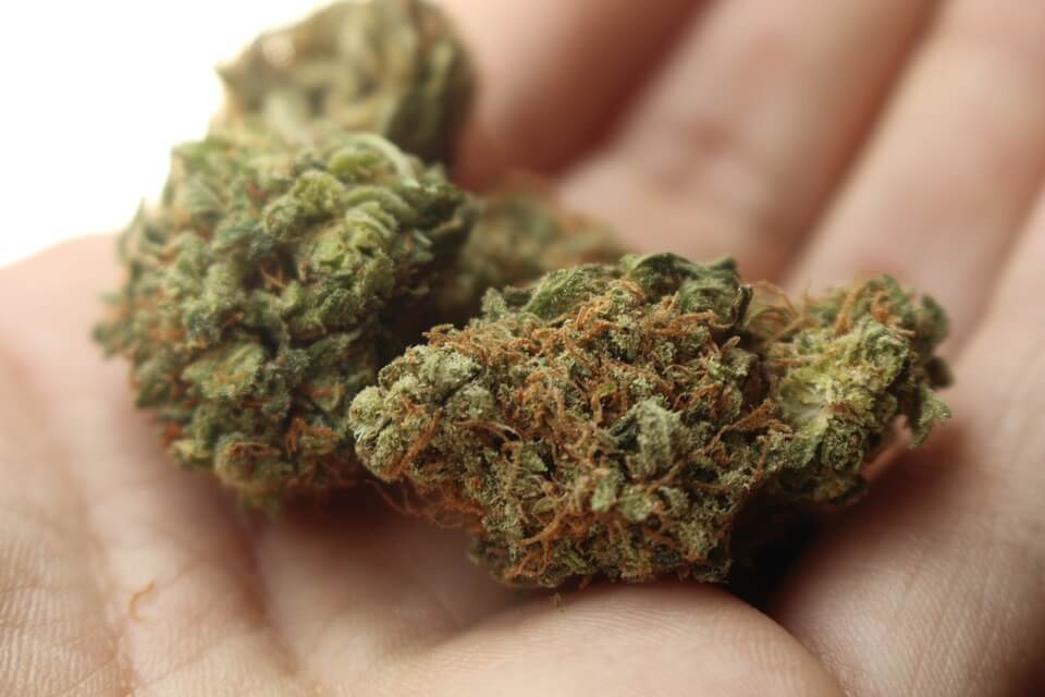 Las Vegas airport offers weed disposal bins for travellers