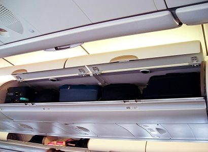Puppy dies after United Airlines flight attendant orders the pet inside overhead locker | Secret Flying