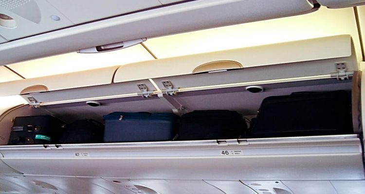 Puppy dies after United Airlines flight attendant orders the pet inside overhead locker | Secret Flying Puppy dies after United Airlines flight attendant orders the pet inside overhead locker | Secret Flying
