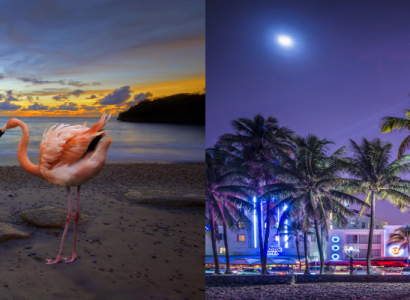 Flight deals from Montreal or Toronto, Canada to both Curacao and Miami, USA | Secret Flying