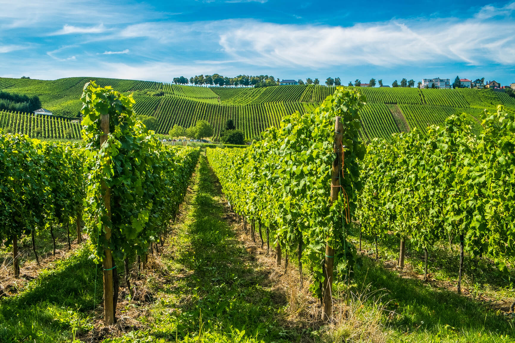San Francisco to Luxembourg for only $471 roundtrip