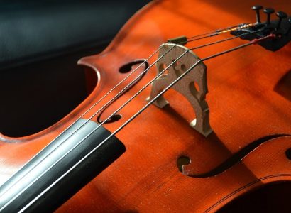 American Airlines passenger kicked off flight after buying seat for her $30,000 cello | Secret Flying