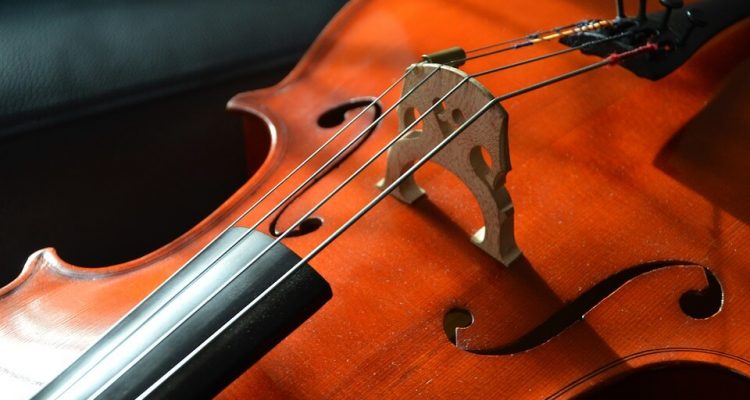 American Airlines passenger kicked off flight after buying seat for her $30,000 cello | Secret Flying American Airlines passenger kicked off flight after buying seat for her $30,000 cello | Secret Flying