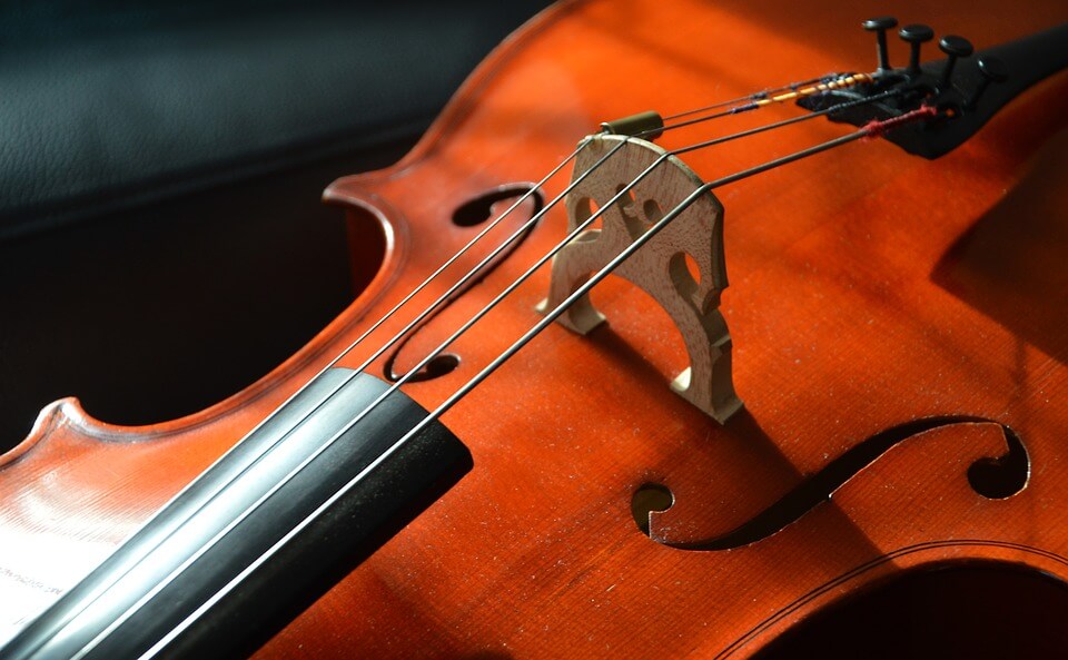 American Airlines passenger kicked off flight after buying seat for her $30,000 cello