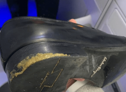 Delta Air Lines passenger forced to sit in dog poo | Secret Flying