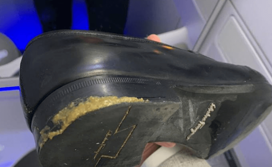 Delta Air Lines passenger forced to sit in dog poo