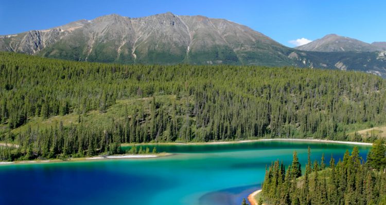 Flight deals from Frankfurt, Germany to the Canadian territory of Yukon | Secret Flying