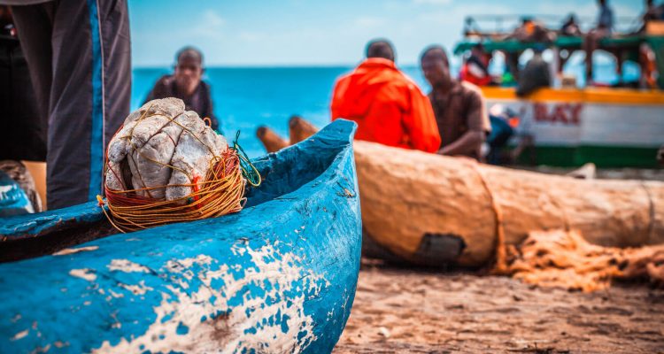 Flight deals from Oslo, Norway to Lilongwe, Malawi | Secret Flying