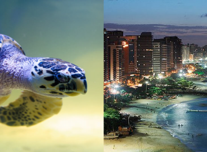 Flight deals from Miami to Recife and Fortaleza, Brazil | Secret Flying