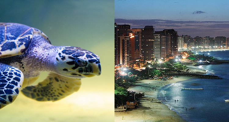 Flight deals from Miami to Recife and Fortaleza, Brazil | Secret Flying