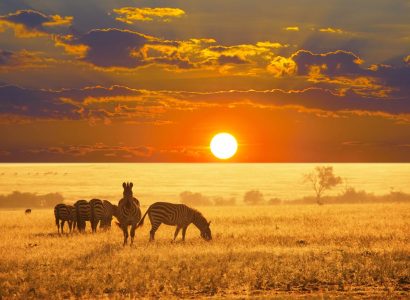 Flight deals from European cities to Africa returning to London, UK | Secret Flying