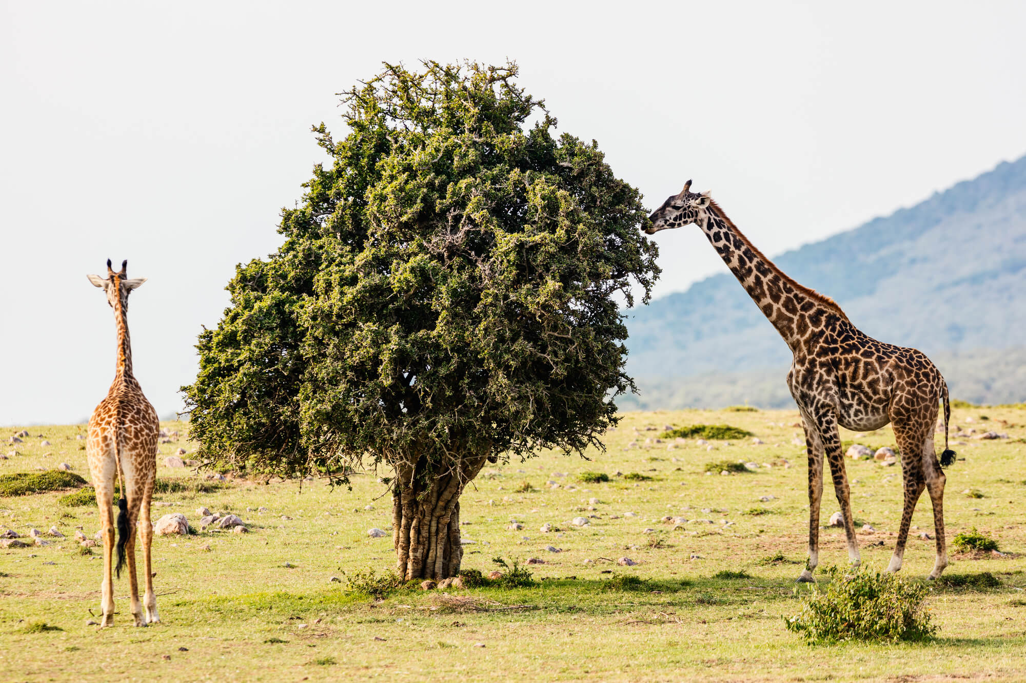 ⚠️ ERROR FARE ⚠️ New York to African cities from only $207 roundtrip (Apr-Oct dates)