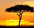 The Baltics to African cities from only €275 roundtrip (Oct-Mar dates)