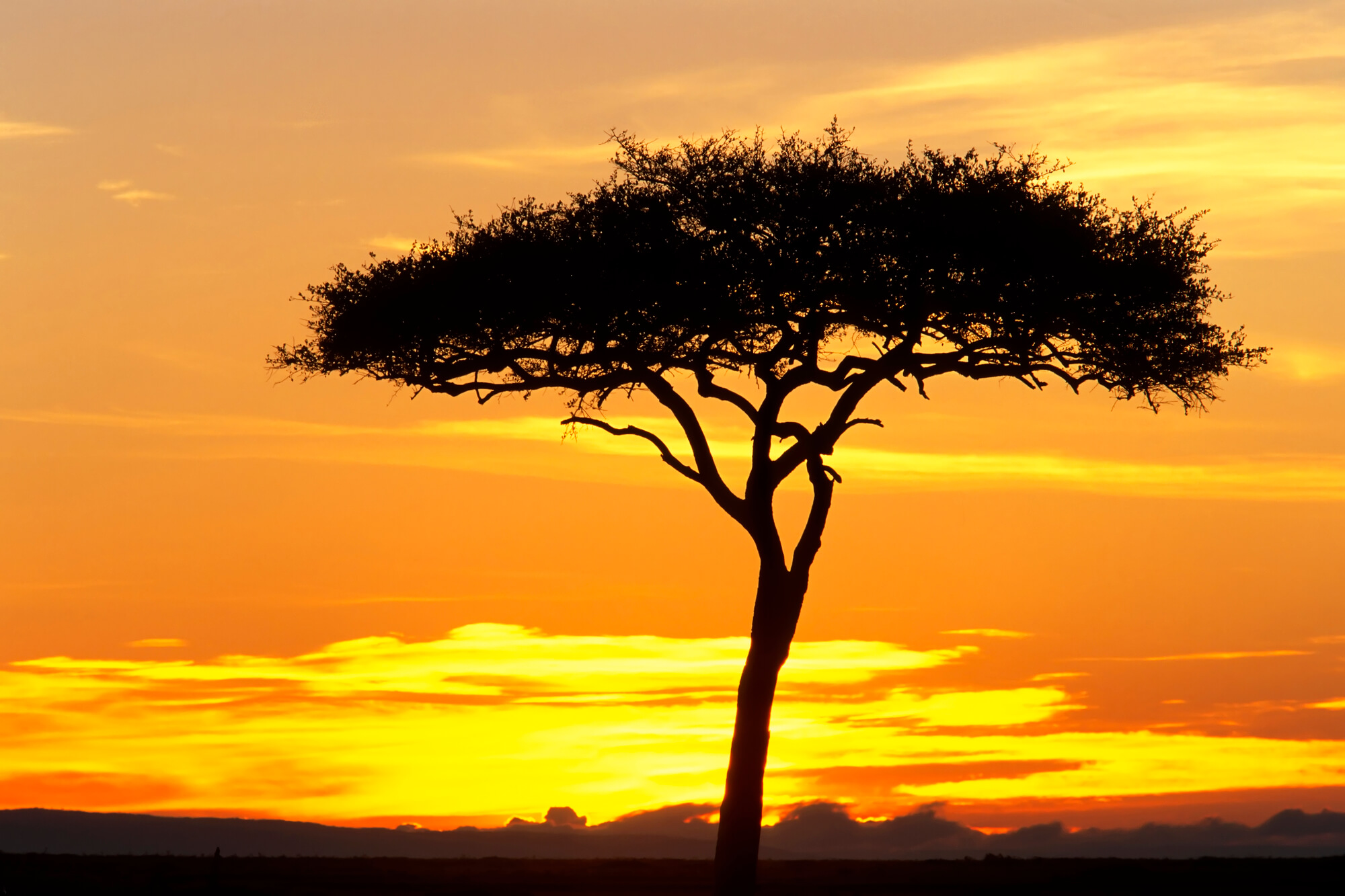 The Baltics to African cities from only €275 roundtrip (Oct-Mar dates)