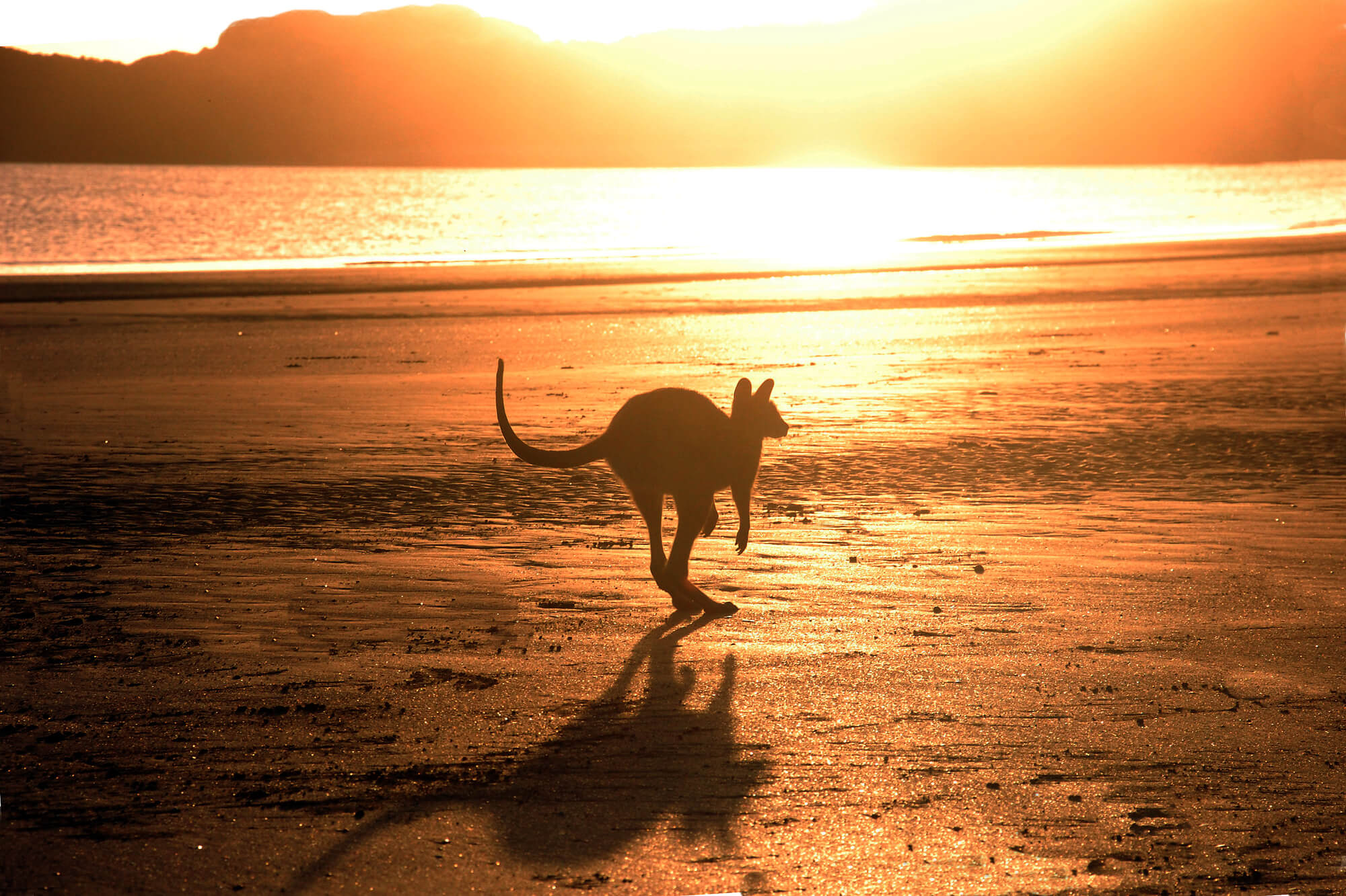 Manchester, UK to Australian cities from only £616 roundtrip
