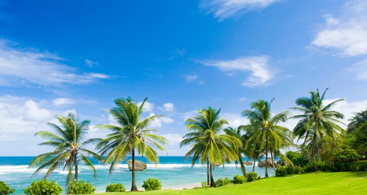 Flight deals from Frankfurt, Germany to Barbados or Tobago | Secret Flying