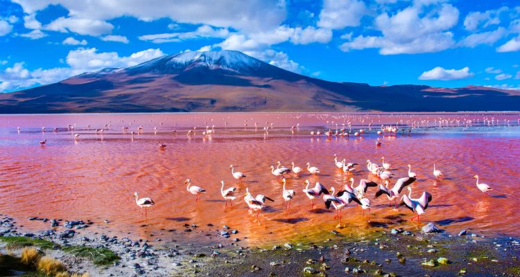 Flight deals from Raleigh, North Carolina to Santa Cruz, Bolivia | Secret Flying