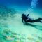 Non-stop from Amsterdam, Netherlands to Bonaire for only €197 one-way