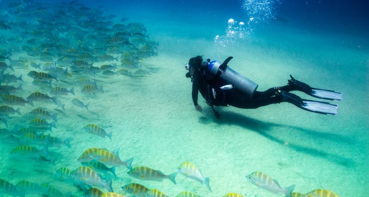 Flight deals from New York to Bonaire | Secret Flying