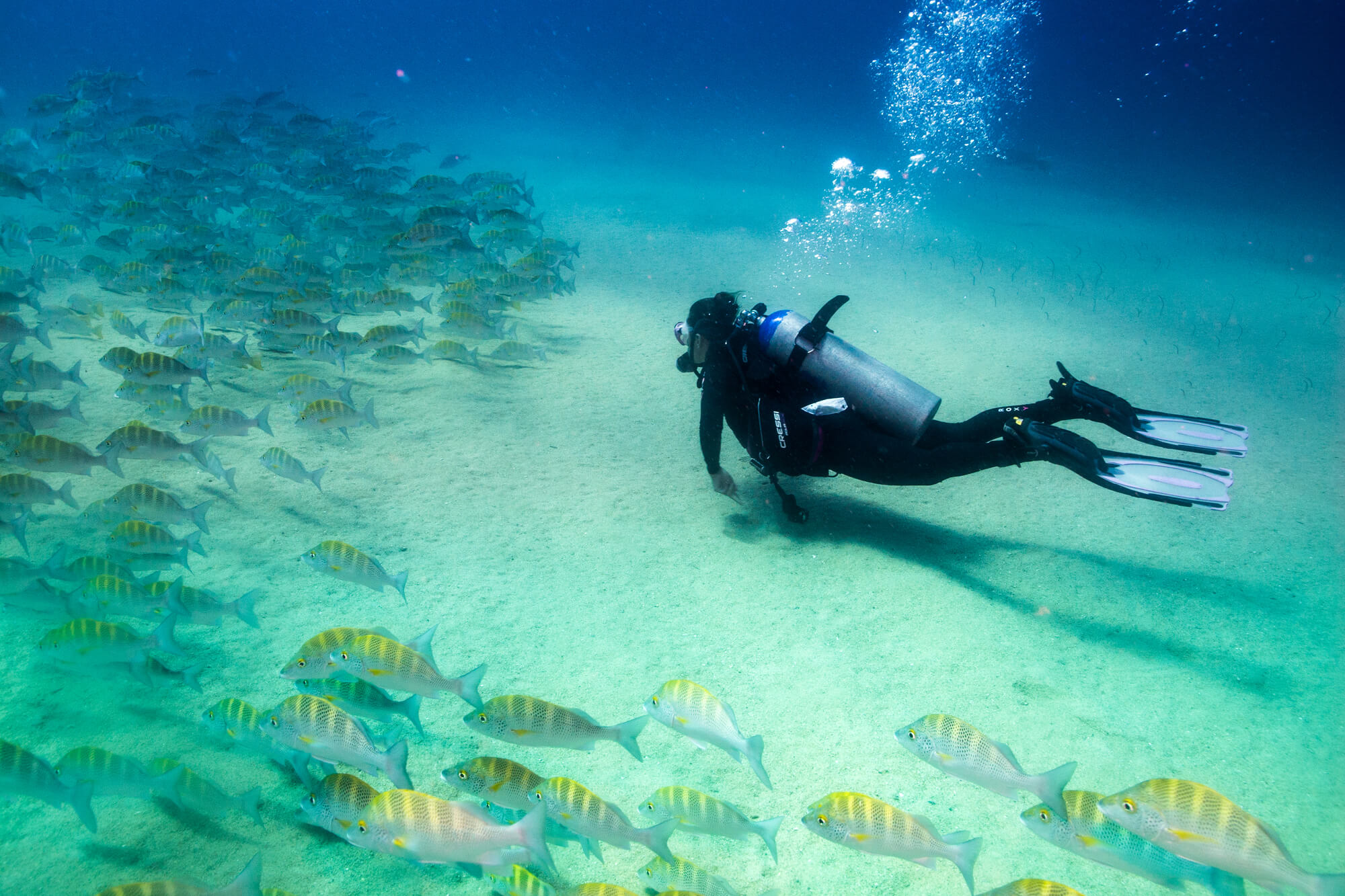 LAST MINUTE: Non-stop from Amsterdam, Netherlands to Bonaire for only €214 one-way