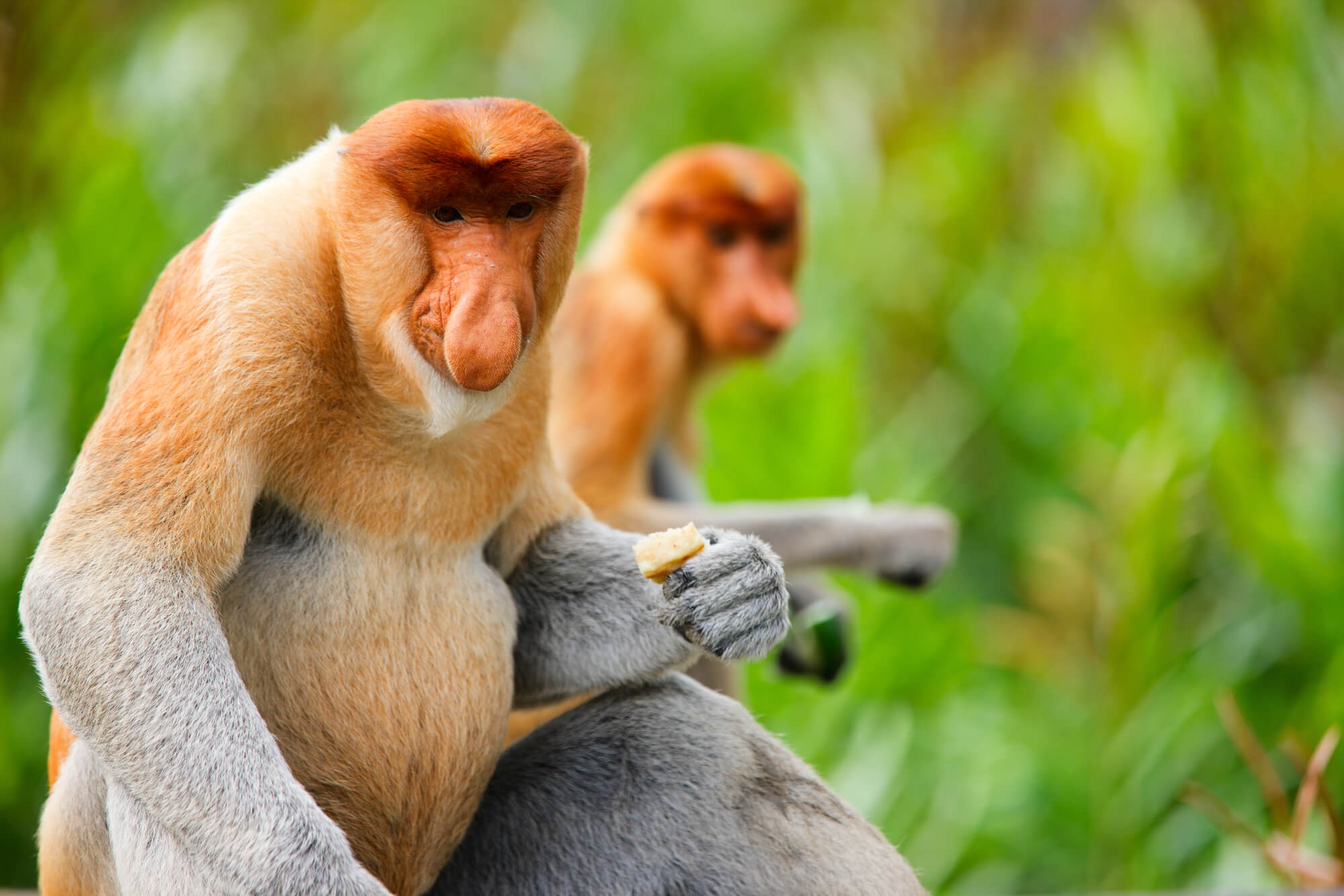 Athens, Greece to Borneo for only €385 roundtrip