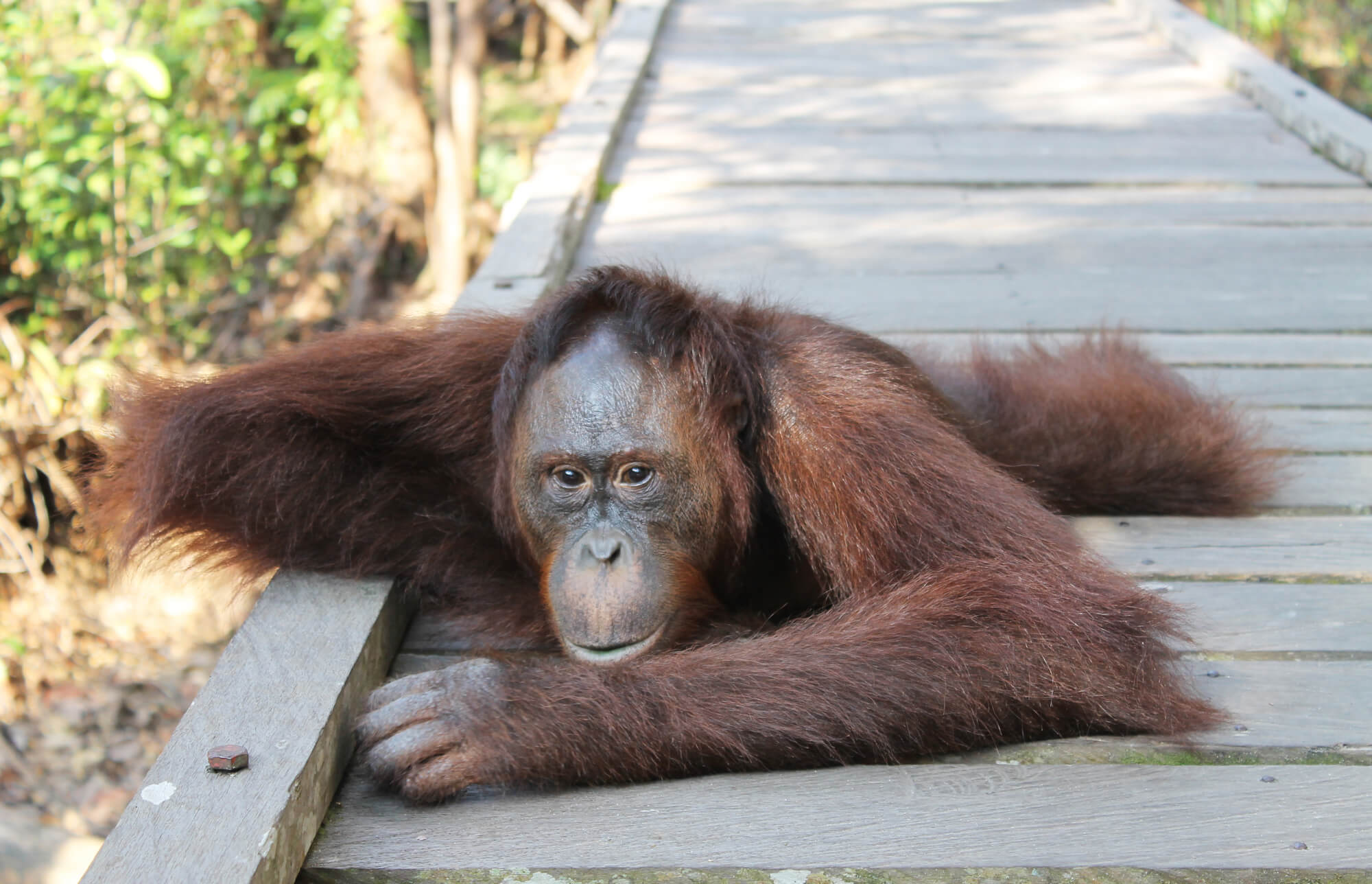 Budapest, Hungary to Kota Kinabalu, Malaysia for only €486 roundtrip