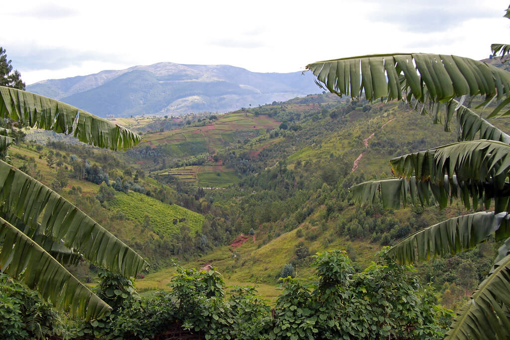 London or Manchester, UK to Bujumbura, Burundi from only £359 roundtrip (Feb-Nov dates) London or Manchester, UK to Bujumbura, Burundi from only £359 roundtrip (Feb-Nov dates)