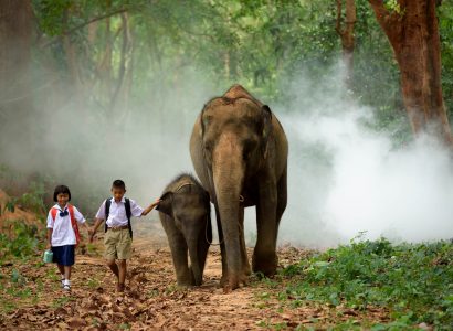 Flight deals from Stockholm, Sweden to Phnom Penh, Cambodia | Secret Flying
