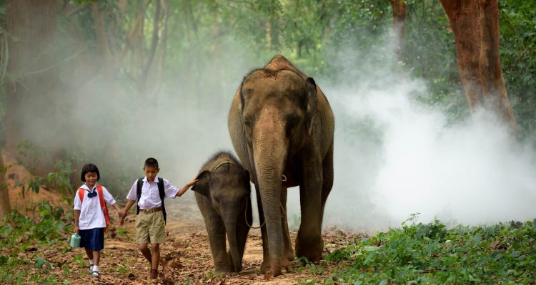 Flight deals from Stockholm, Sweden to Phnom Penh, Cambodia | Secret Flying Flight deals from Stockholm, Sweden to Phnom Penh, Cambodia | Secret Flying