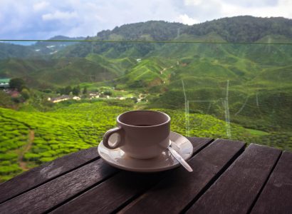Flight deals from UK cities to Douala or Yaounde, Cameroon | Secret Flying