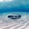 Austin, Texas to the Cayman Islands for only $301 roundtrip Austin, Texas to the Cayman Islands for only $301 roundtrip