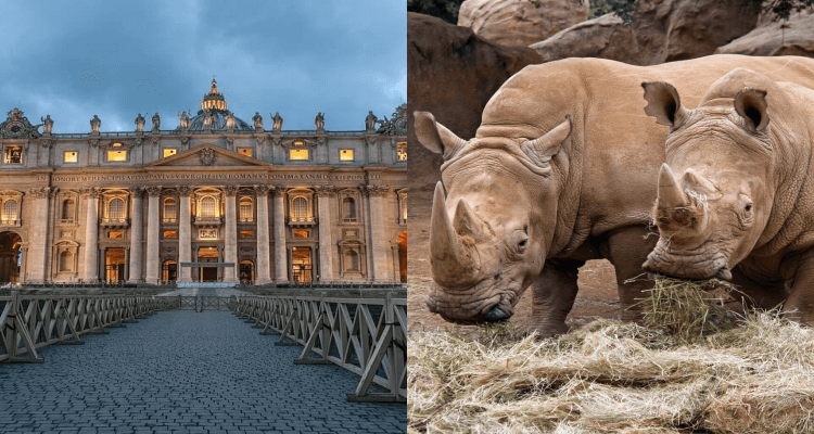 Flight deals from London, UK to Rome, Italy and Johannesburg, South Africa | Secret Flying Flight deals from London, UK to Rome, Italy and Johannesburg, South Africa | Secret Flying