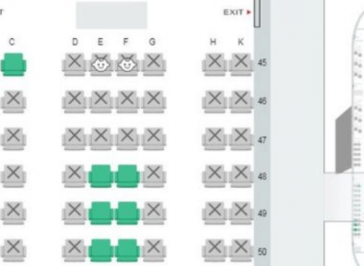 Japan Airlines introduces new seat map to help avoid screaming babies | Secret Flying