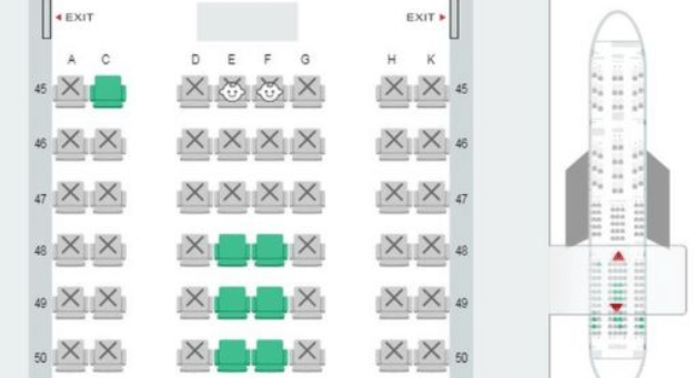 Japan Airlines introduces new seat map to help avoid screaming babies | Secret Flying Japan Airlines introduces new seat map to help avoid screaming babies | Secret Flying
