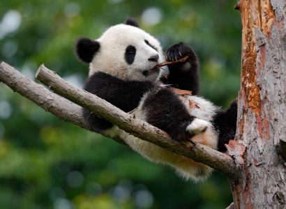 Flight deals from Melbourne, Australia to Chongqing, China | Secret Flying