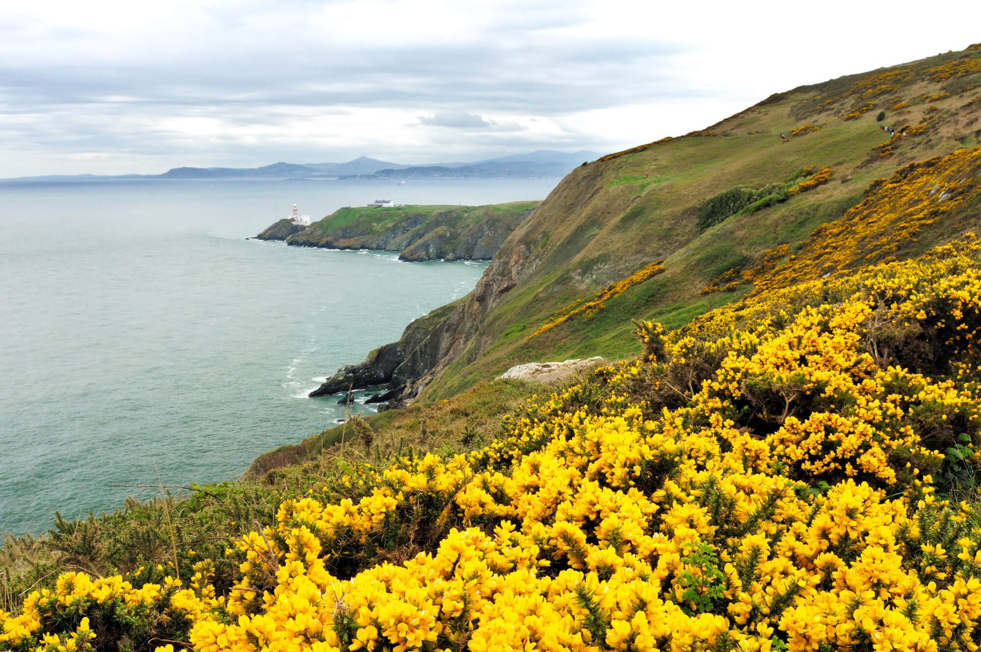 SUMMER: Amsterdam, Netherlands to Dublin, Ireland for only €15 roundtrip (Jun-Jul dates)