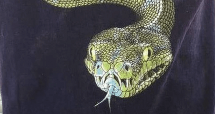 10-year-old boy forced to remove snake t-shirt as it could ’cause anxiety for other passengers’ | Secret Flying