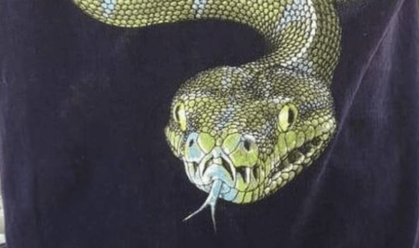 10-year-old boy forced to remove snake t-shirt as it could ’cause anxiety for other passengers’