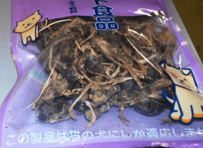 US border agents find dead birds on passenger travelling from China | Secret Flying
