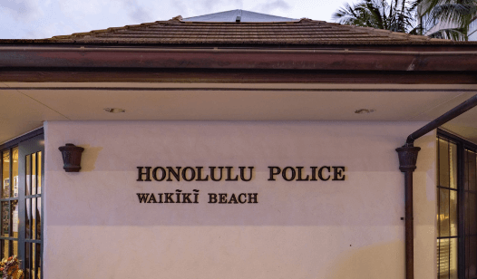 Honeymooners in handcuffs after violating quarantine in Hawaii | Secret Flying Honeymooners in handcuffs after violating quarantine in Hawaii | Secret Flying