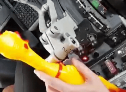 Ryanair pilots investigated after using a rubber chicken to operate throttle | Secret Flying
