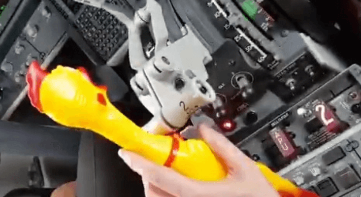 Ryanair pilots investigated after using a rubber chicken to operate throttle | Secret Flying Ryanair pilots investigated after using a rubber chicken to operate throttle | Secret Flying