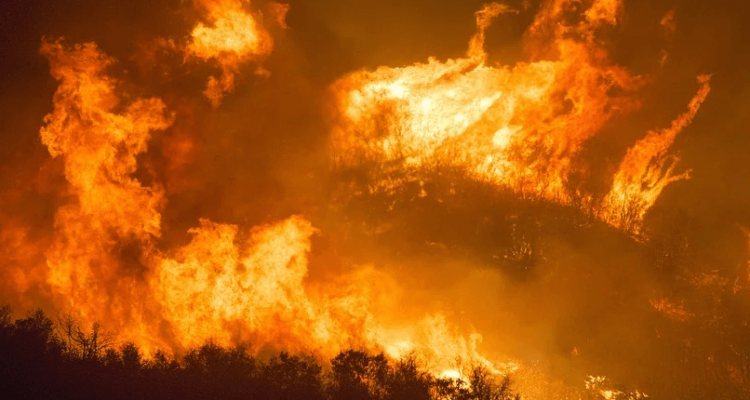 Food cooking for tourists blamed for Mount Kilimanjaro blaze | Secret Flying Food cooking for tourists blamed for Mount Kilimanjaro blaze | Secret Flying