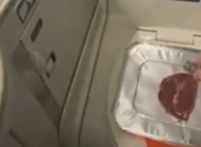 TikTok user cooks steak in Delta plane toilet | Secret Flying